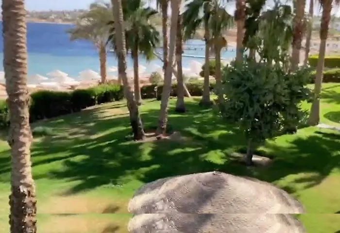 Penthouse Terrace Luxury Sul Mare Apartmanhotel *